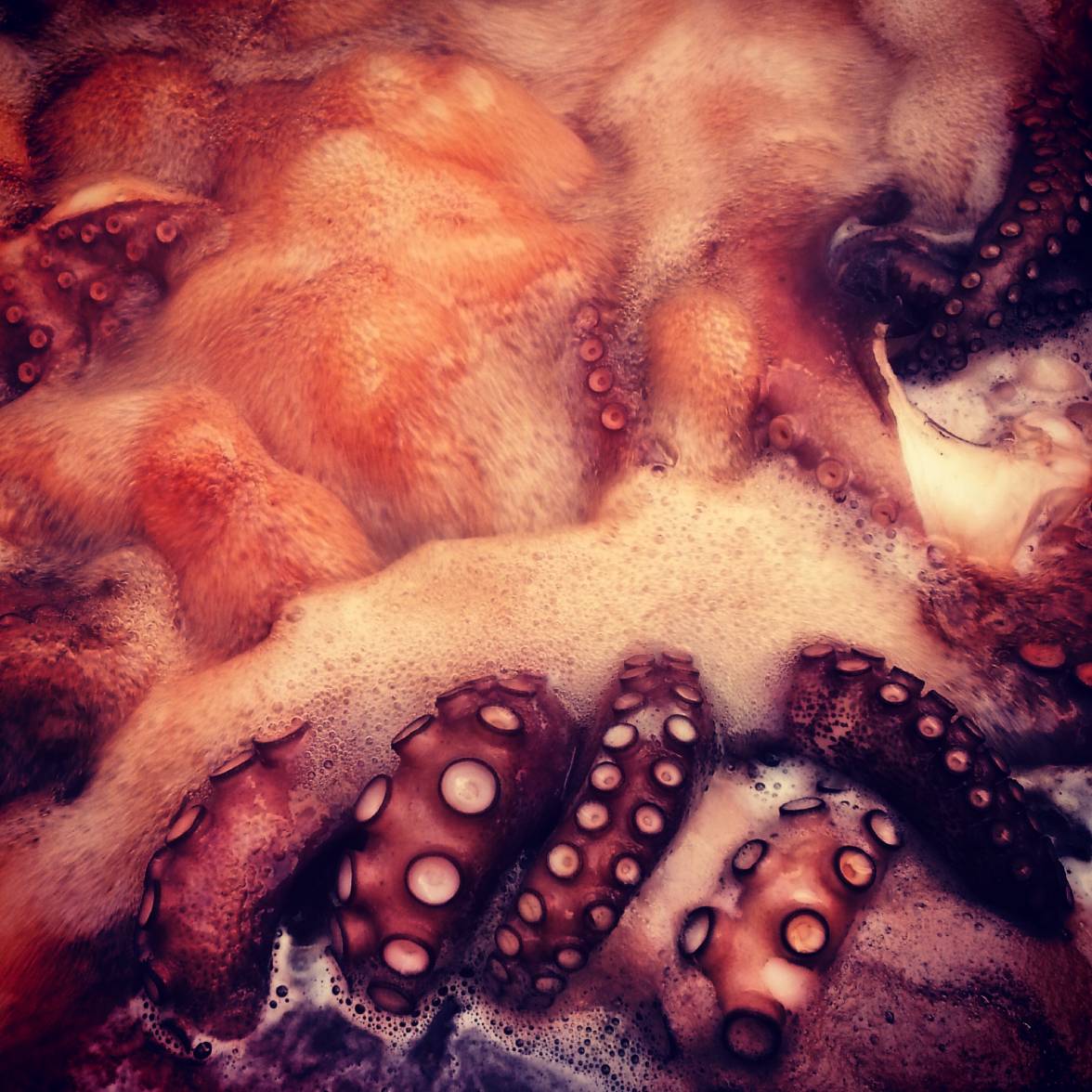 PULPO COCIENDO